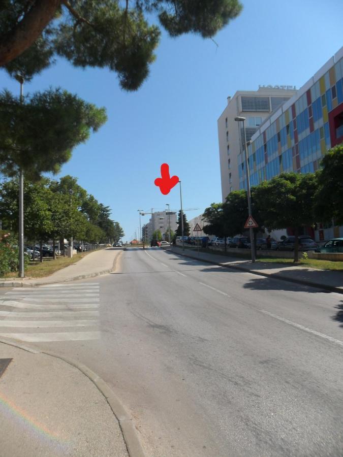 Apartment Pavo زادار المظهر الخارجي الصورة